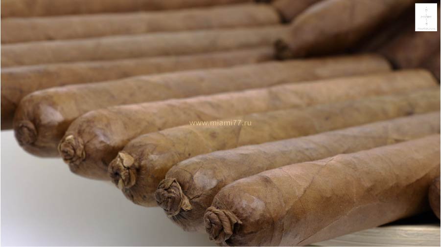 Сигары фото 1 1